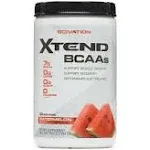 XTEND Watermelon Explosion Muscle & Electrolyte Recovery (13.7 oz)