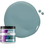 Beyond Paint BP204CP All in One Paint, Pint Nantucket