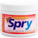 Spry Chewing Gum, Cinnamon - 100 pack