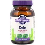 Oregon's Wild Harvest - Kelp - 90 Gelatin Capsules