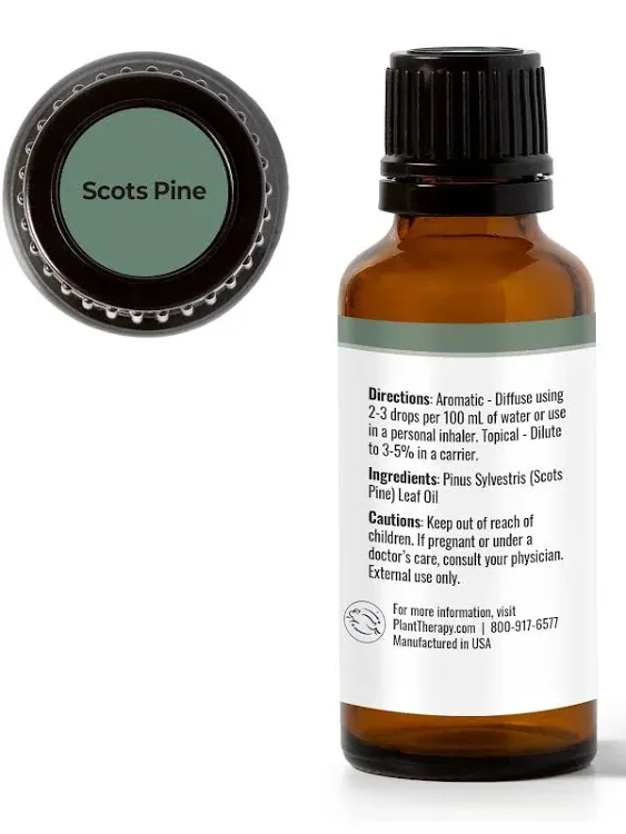 Plant Therapy Pine Scots Essential Oil 10 ml 100% Pure