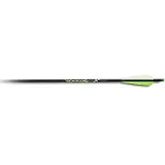 New Carbon Express PILEDRIVER 20&#034; CROSSBOLT MOON NOCK 6PK