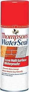 Thompson’s WaterSeal Multi-Surface Waterproofer Stain, Clear, 12 oz Aerosol Can