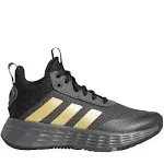 Adidas Ownthegame 2.0 Shoes