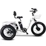 Emojo Caddy Pro 48V 500W Electric Trike Fat Tire