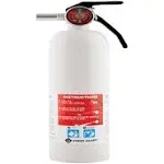 First Alert 5-B-C Rechargeable Recreation Fire Extinguisher