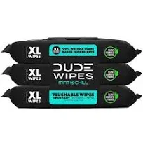 Dude Wipes Flushable Wipes Dispenser (3 Packs 48 Wipes), Unscented Wet Wipes wit