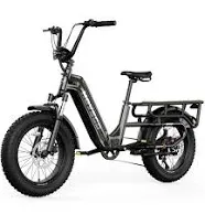 Hovsco HovCart 20" Fat Tire Cargo Electric Bike