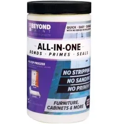 Beyond Paint All-in-One Refinishing Paint BP12