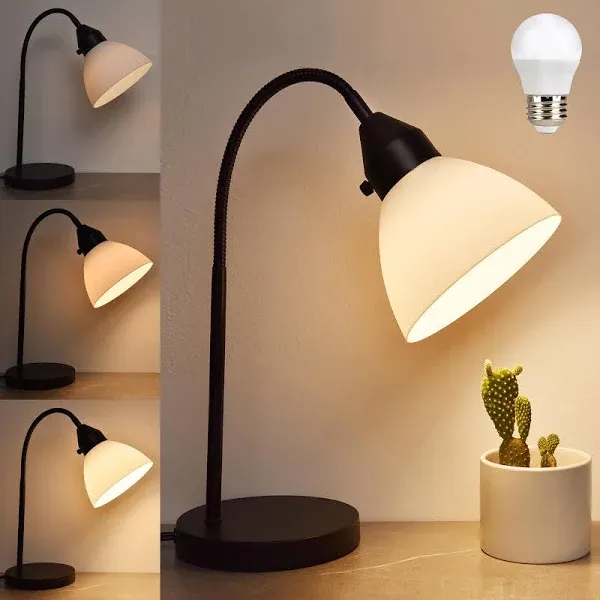 2 Pack LED Desk Lamp