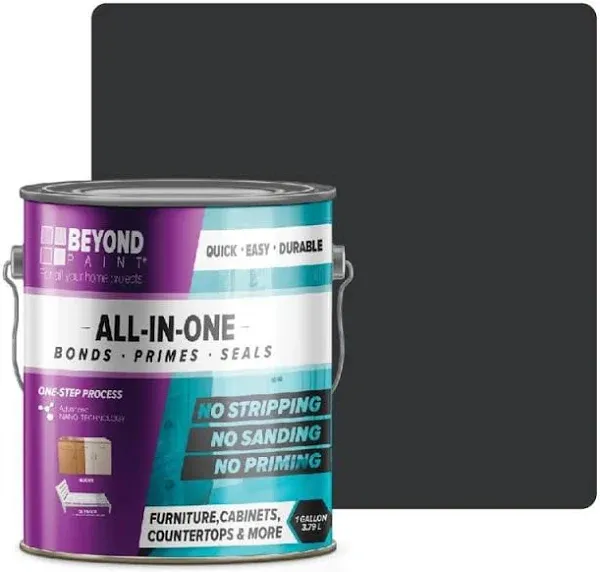 Beyond Paint All-in-One Refinishing Paint BP12