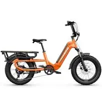 Electric Bike Hovsco HovCart 20" Fat Tire Cargo