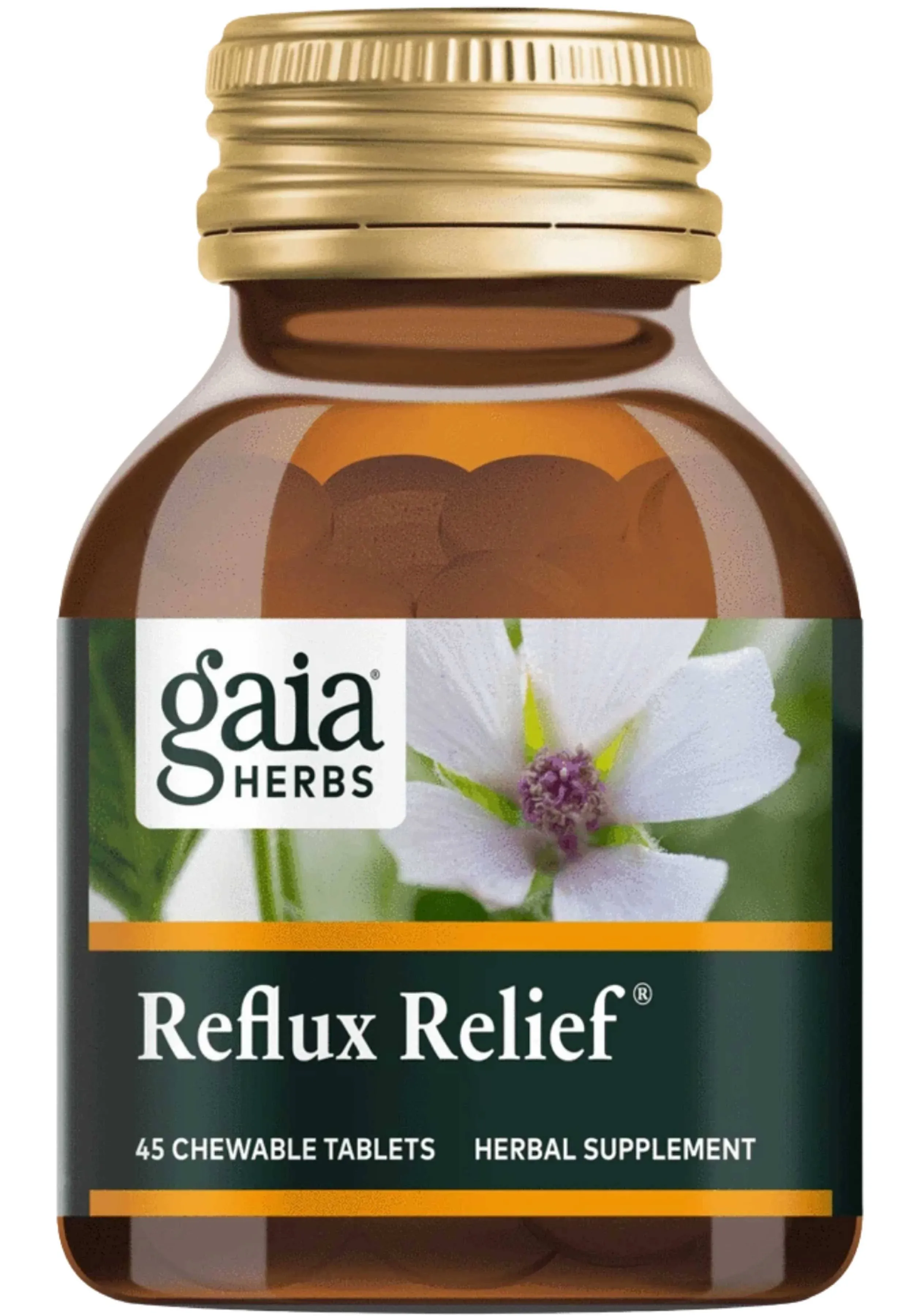 Gaia Herbs - Reflux Relief - 45 Chewable Tablets