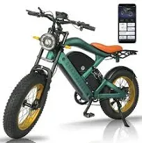 Electric Bike for Adults,GPS and APP Control Ebike,1200W Brushless Motor,48V/20Ah Removable UL&GCC Certification Battery,20"*4.0 Fat Tire,30MPH and 60Miles Range