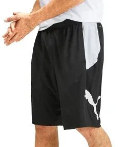 Puma DryCell Men&#039;s XL Shorts Colorblock Logo Drawstring Grey NEW