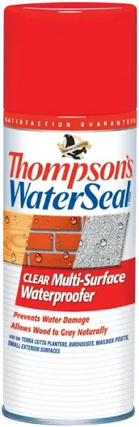 Thompson’s WaterSeal Multi-Surface Waterproofer Stain, Clear, 12 oz Aerosol Can