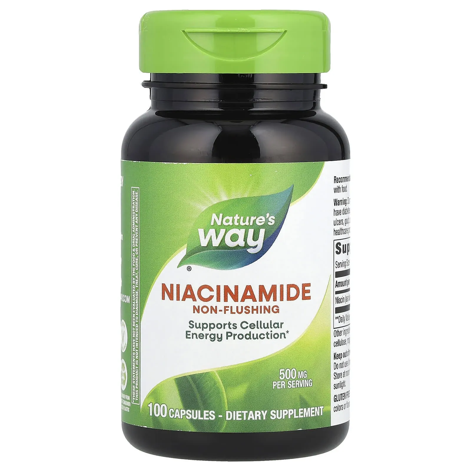 Nature's Way Niacinamide 500 mg - 100 Capsules