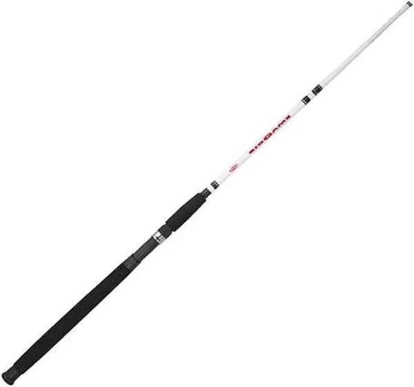 Berkley Big Game Casting Rod