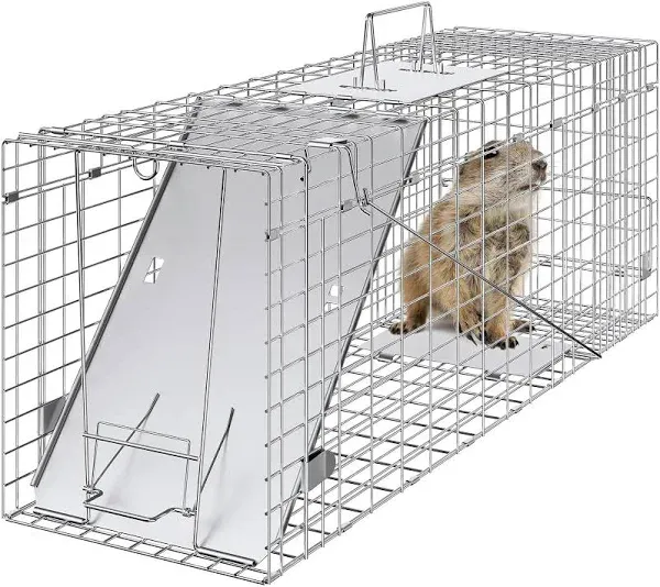 VEVOR Live Animal Cage Trap, 31" x 10" x 12" Humane Cat Trap Galvanized Iron, Folding Animal Trap with Handle for Rabbits, Stray Cats, Squirrels, Raccoons, Groundhogs and Opossums