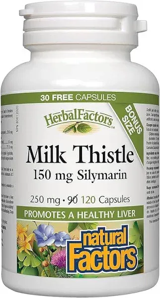 Natural Factors - Milk Thistle, 250 mg - 90 Capsules