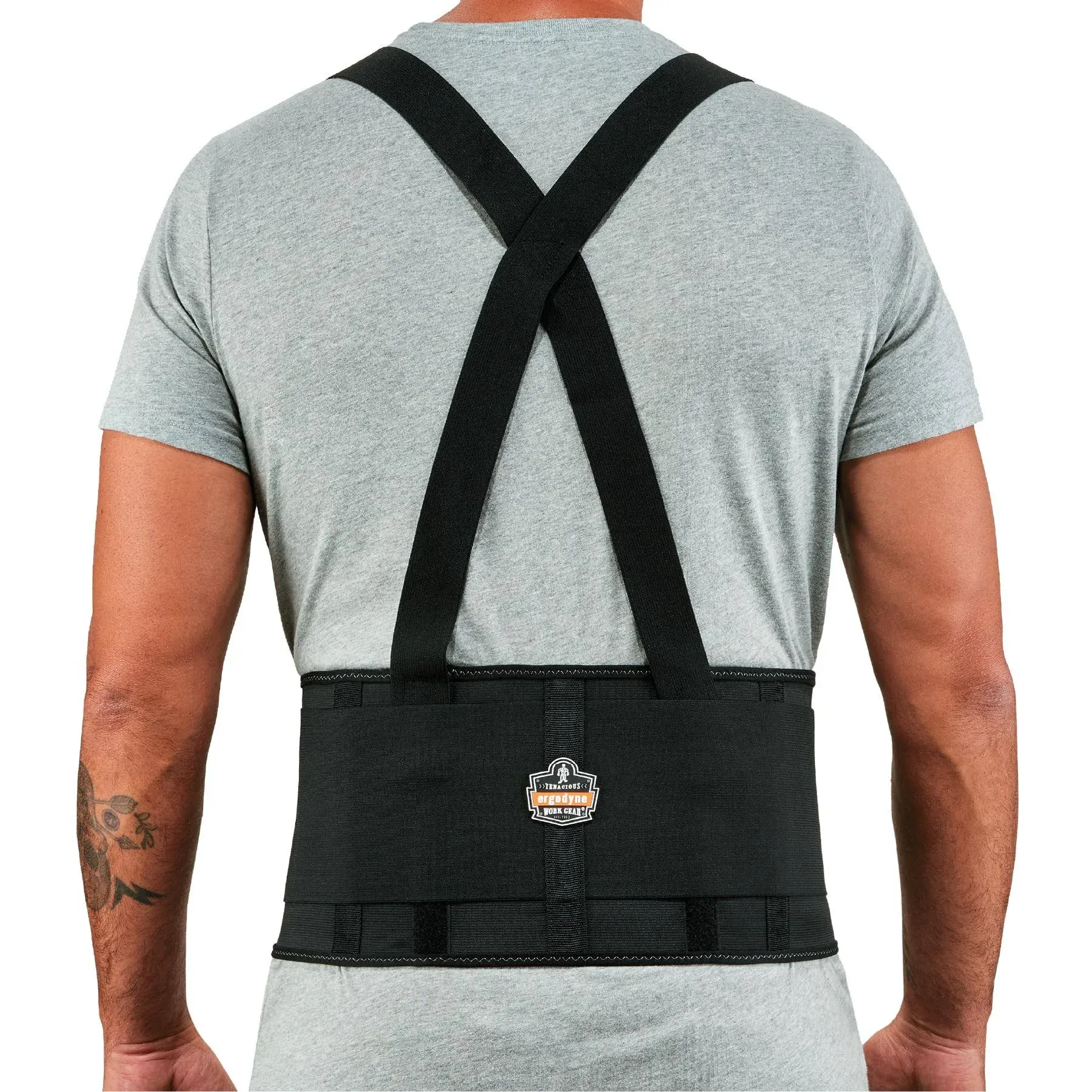 Ergodyne ProFlex 1650 Economy Elastic Back Support