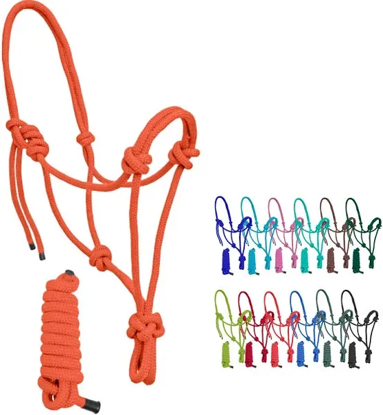 Nylon Adjustable Rope Halter with 6Ft Lead