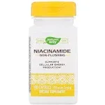 Nature's Way Niacinamide 500mg, 100 Capsules