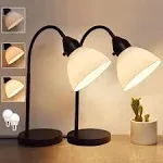 RISLG LED Desk Lamp