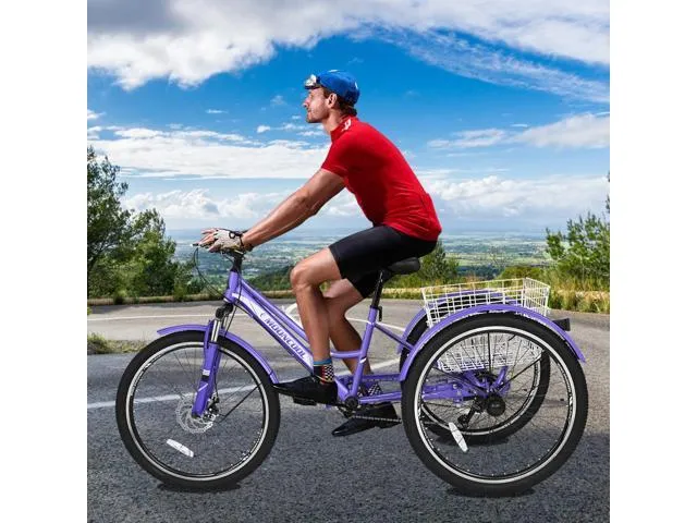 LILYPELLE Mountain Tricycle for Adults, 7 Speed Three Wheel Bikes, 24/26/27.5 Inch Men's Women's Tricycles Trikes with Shopping Basket 26' Purple