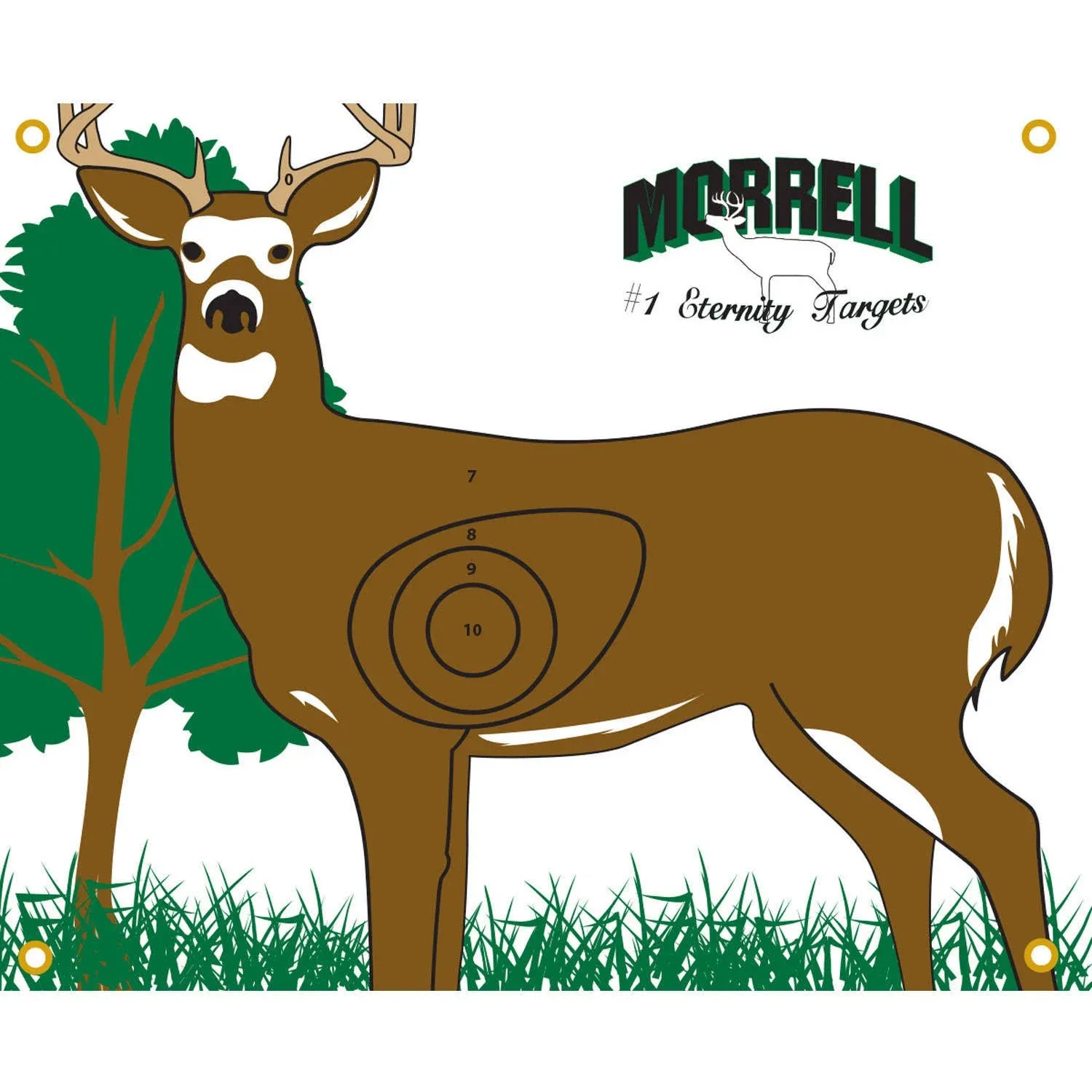 Morrell Polypropylene Target - Face NASP/IBO Whitetail