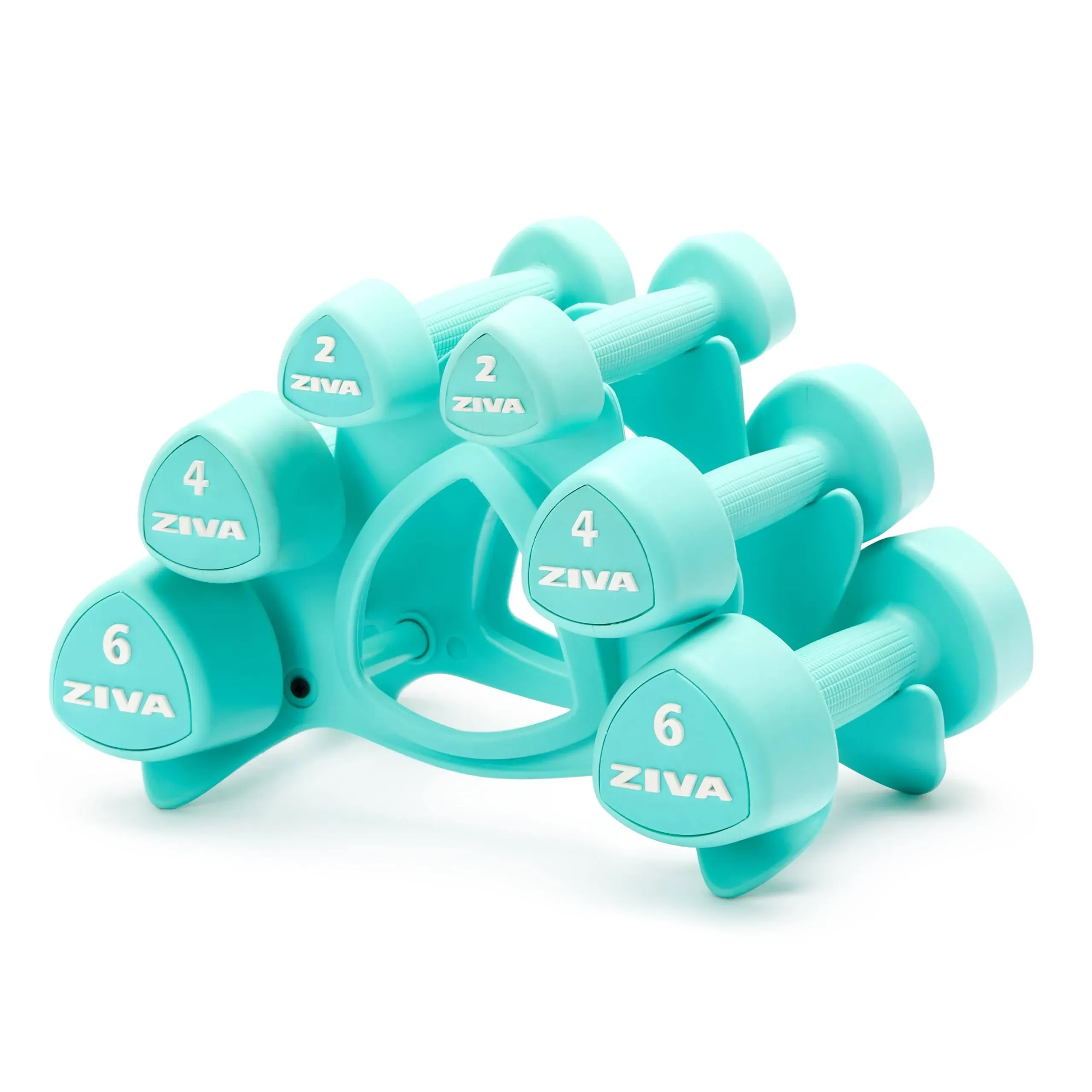 ZIVA Chic 24 lbs Dumbbell Set with Stand