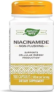 Nature's Way Niacinamide 500mg - 100 Capsules (4 Pack)