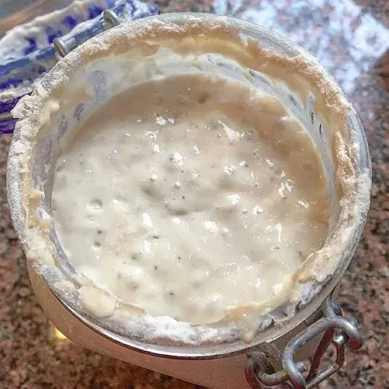 Breadtopia Sourdough Starter