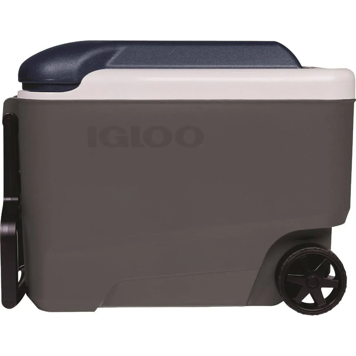 Igloo Maxcold 40 Hard Cooler Ash Grey/Aegean Sea 40qt