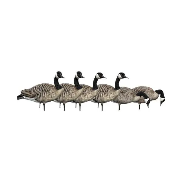 Avian-X Fusion Honker AXP Goose Decoys