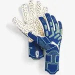 Puma Future Ultimate NC GoalKeeper Gloves