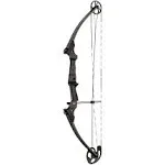 Genesis Original Compound Bow Kit Carbon