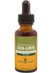 Herb Pharm Uva Ursi Liquid Extract - Antibacterial & Urinary Tract Support - 1 Fl Oz